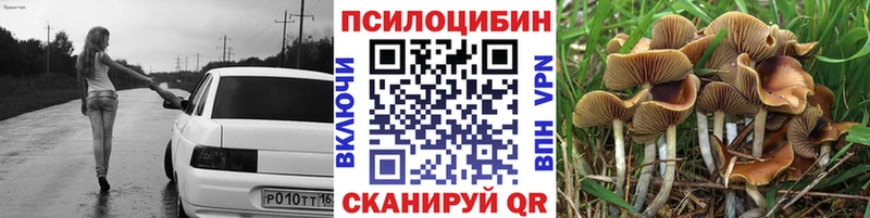 Галлюциногенные грибы Magic Shrooms  Межгорье 